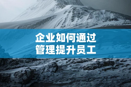 企业如何通过管理提升员工忠诚度