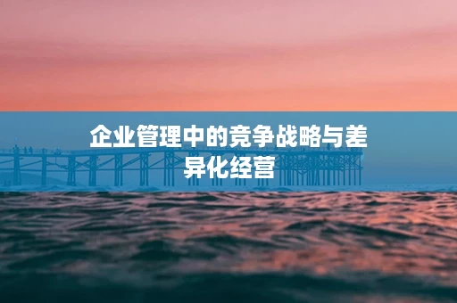 企业管理中的竞争战略与差异化经营
