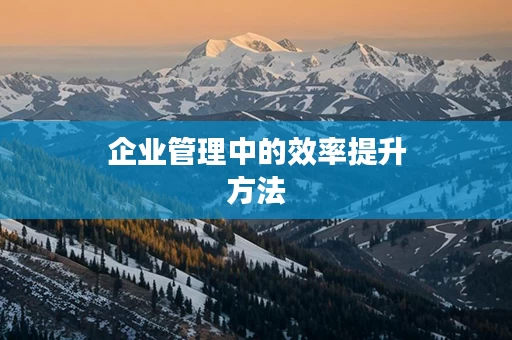 企业管理中的效率提升方法