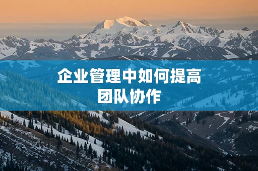 企业管理中如何提高团队协作