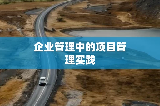 企业管理中的项目管理实践
