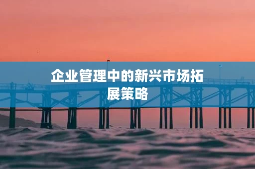 企业管理中的新兴市场拓展策略