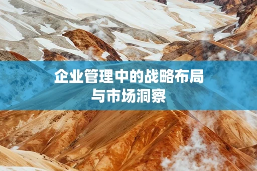 企业管理中的战略布局与市场洞察