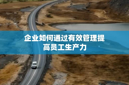 企业如何通过有效管理提高员工生产力