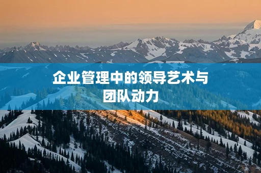 企业管理中的领导艺术与团队动力