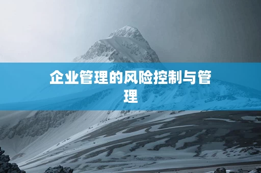 企业管理的风险控制与管理