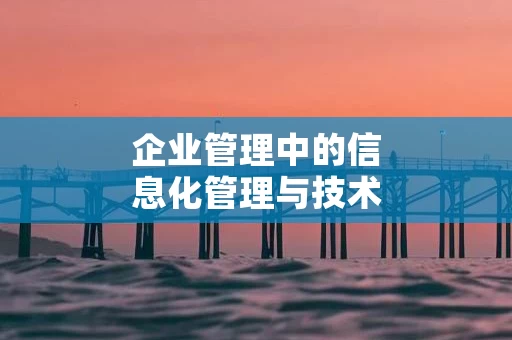 企业管理中的信息化管理与技术支持