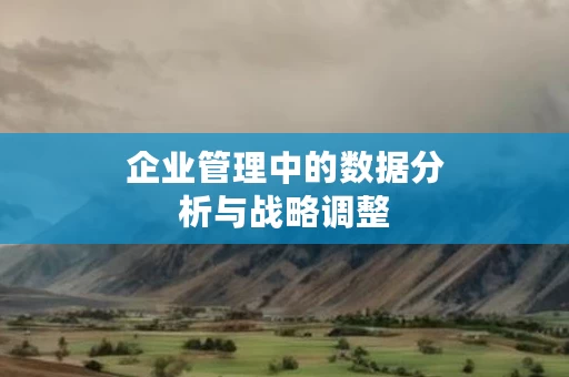 企业管理中的数据分析与战略调整