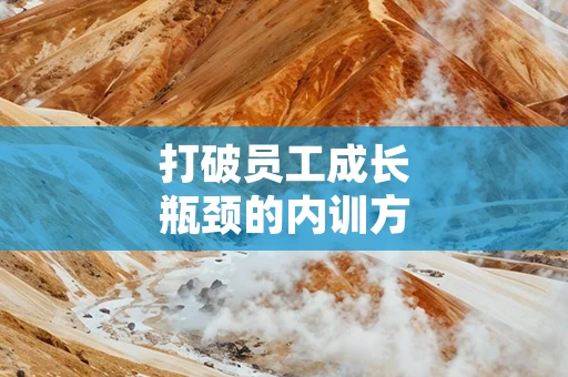 打破员工成长瓶颈的内训方法