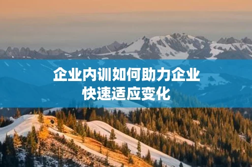 企业内训如何助力企业快速适应变化