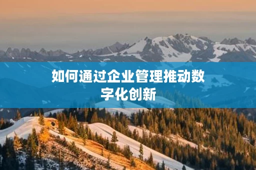 如何通过企业管理推动数字化创新