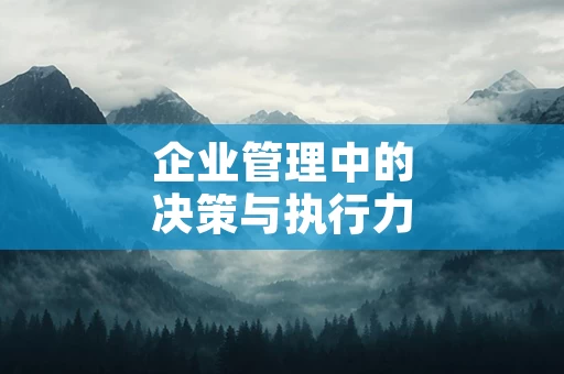 企业管理中的决策与执行力