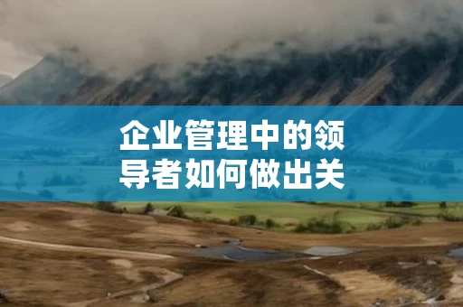 企业管理中的领导者如何做出关键决策