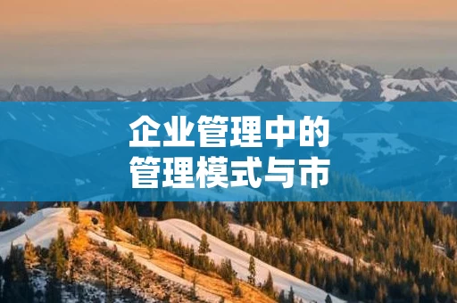 企业管理中的管理模式与市场竞争