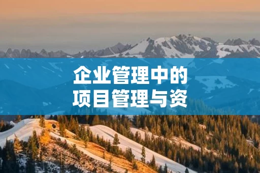 企业管理中的项目管理与资源调配