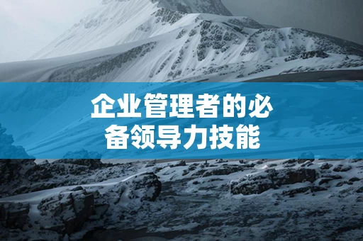 企业管理者的必备领导力技能