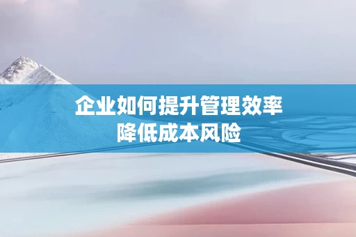 企业如何提升管理效率降低成本风险