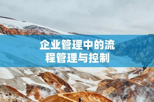 企业管理中的流程管理与控制