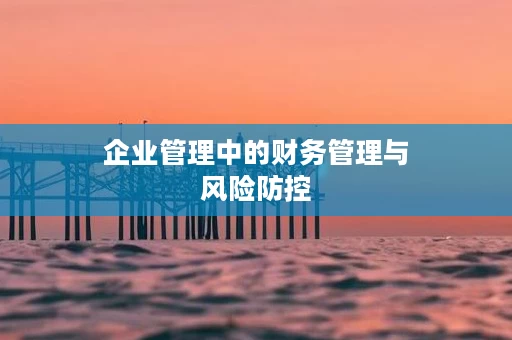企业管理中的财务管理与风险防控