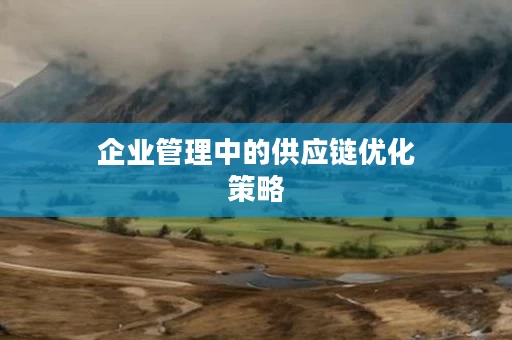 企业管理中的供应链优化策略