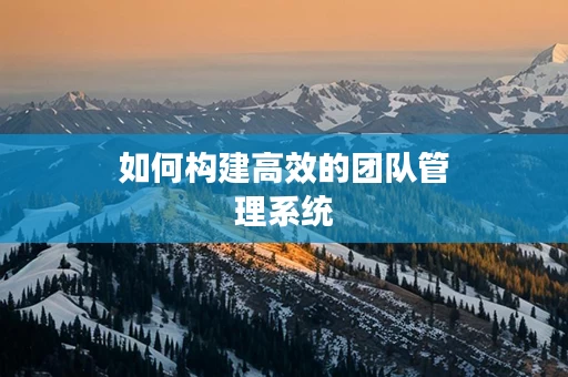 如何构建高效的团队管理系统
