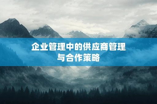 企业管理中的供应商管理与合作策略