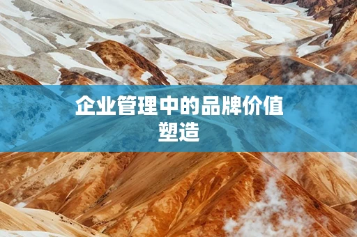 企业管理中的品牌价值塑造