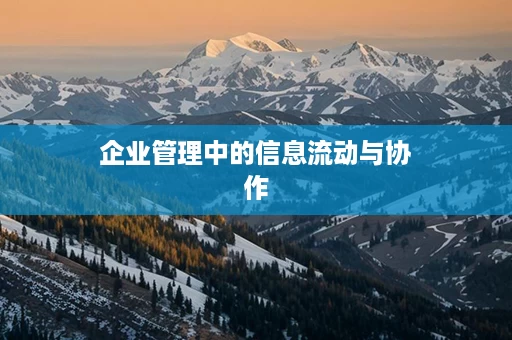 企业管理中的信息流动与协作