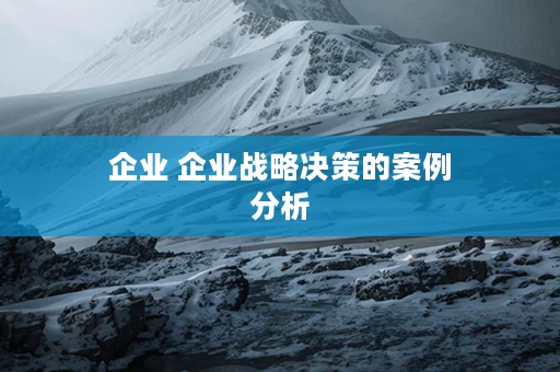 企业 企业战略决策的案例分析