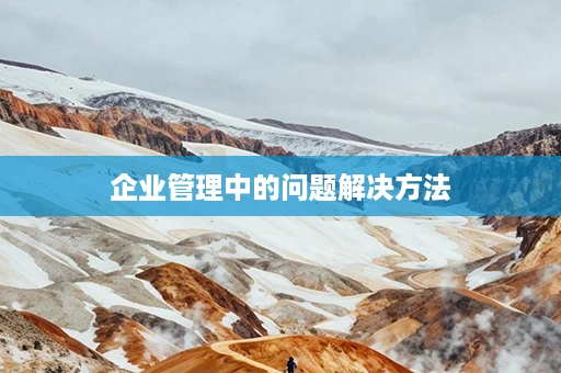 企业管理中的问题解决方法