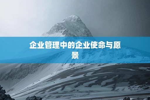 企业管理中的企业使命与愿景