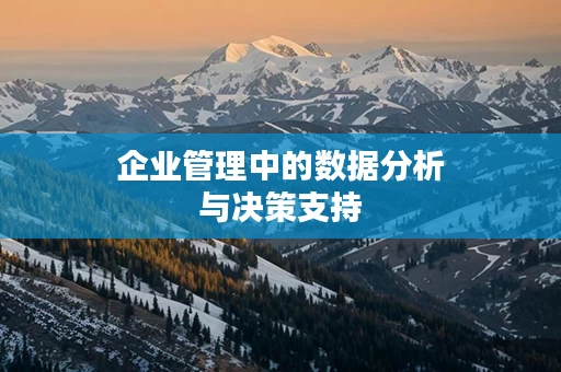 企业管理中的数据分析与决策支持