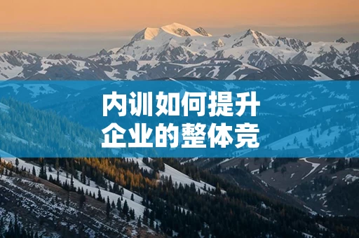 内训如何提升企业的整体竞争力