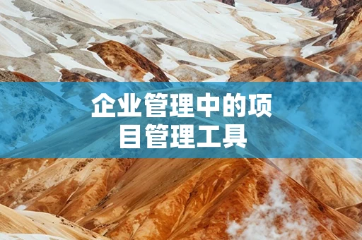 企业管理中的项目管理工具