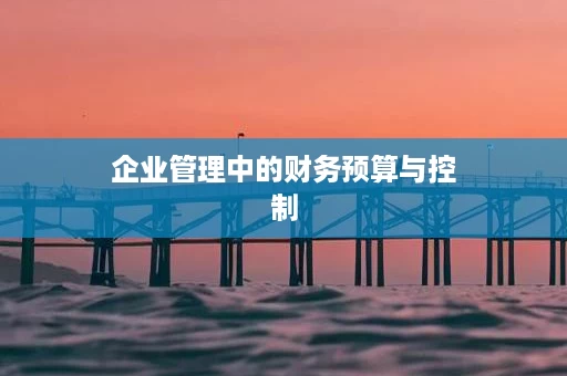 企业管理中的财务预算与控制