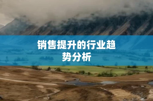 销售提升的行业趋势分析