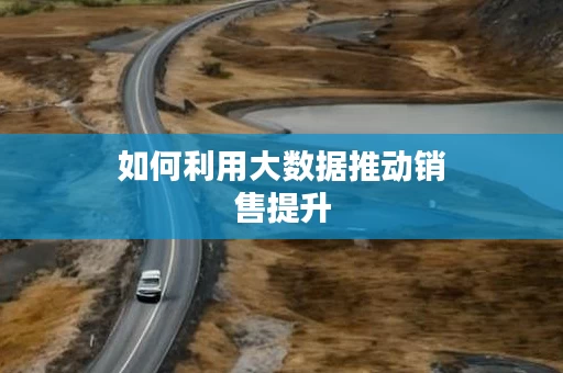 如何利用大数据推动销售提升