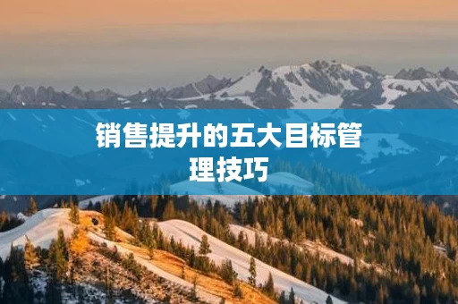 销售提升的五大目标管理技巧