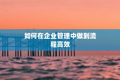 如何在企业管理中做到流程高效