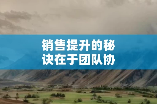 销售提升的秘诀在于团队协作