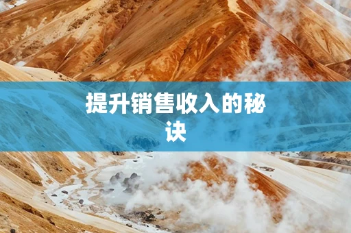 提升销售收入的秘诀