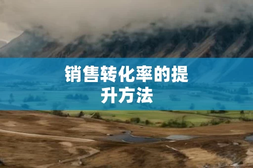 销售转化率的提升方法