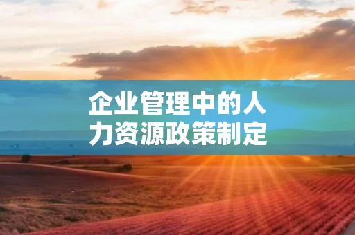 企业管理中的人力资源政策制定