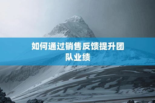 如何通过销售反馈提升团队业绩