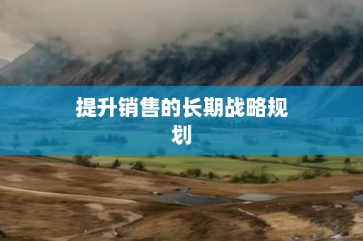 提升销售的长期战略规划