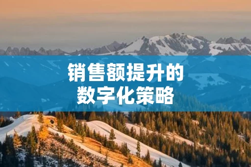 销售额提升的数字化策略