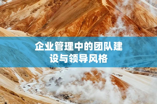 企业管理中的团队建设与领导风格