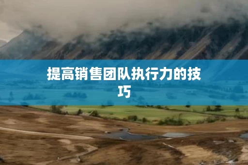 提高销售团队执行力的技巧