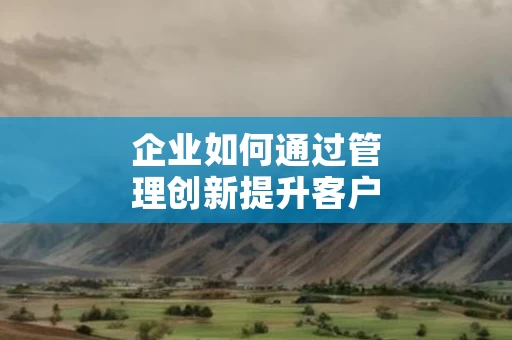 企业如何通过管理创新提升客户忠诚度