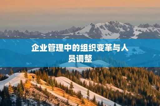 企业管理中的组织变革与人员调整
